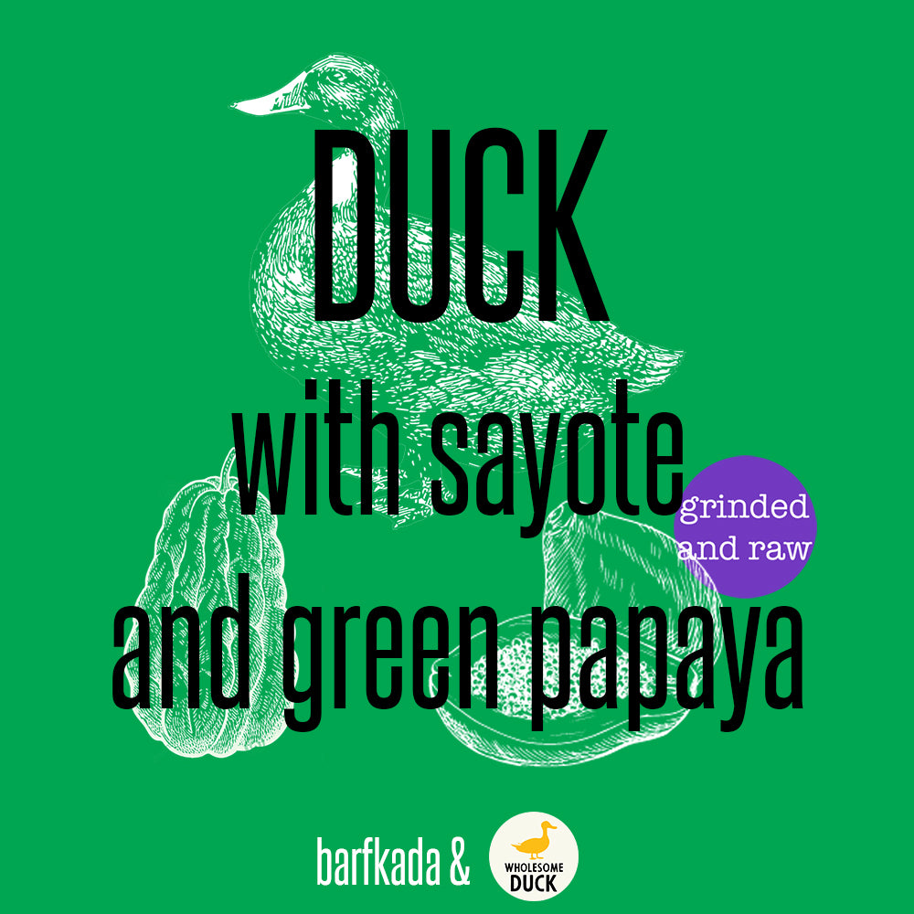 Duck with sayote and green papaya